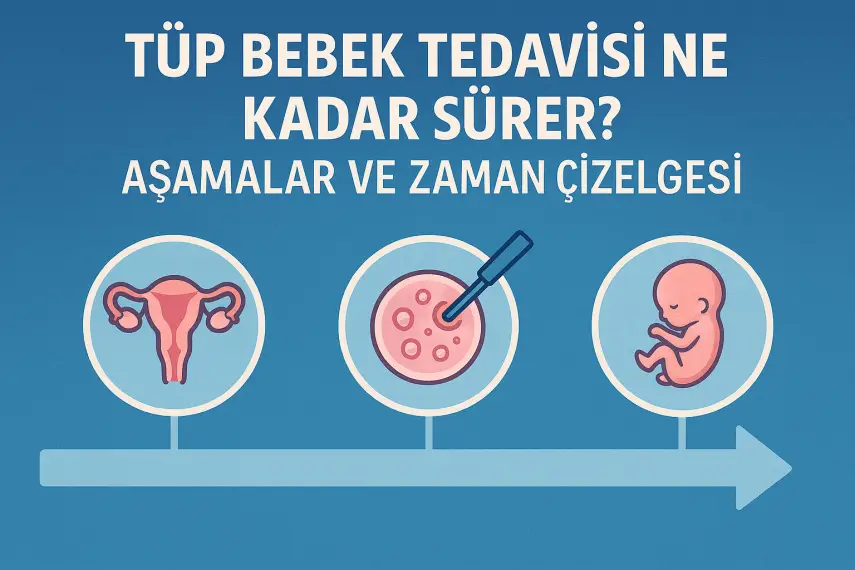 Tüp Bebek Tedavisi Ne Kadar Sürer? Aşamalar ve Zaman Çizelgesi